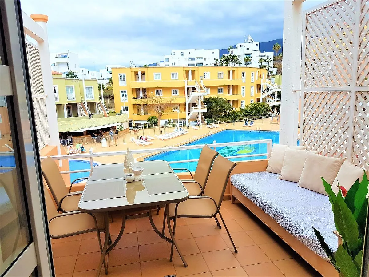 Apartment Orlando Tenerife Costa Adeje   Costa Adeje (Tenerife)